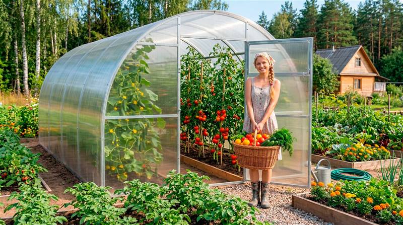 Практичная купить в Саратове